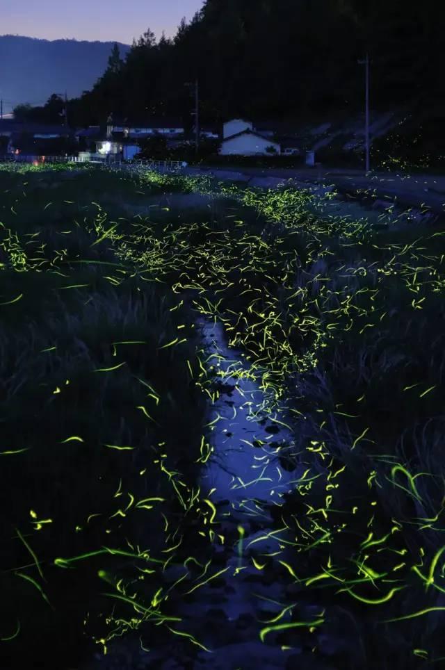 恐怖黎明