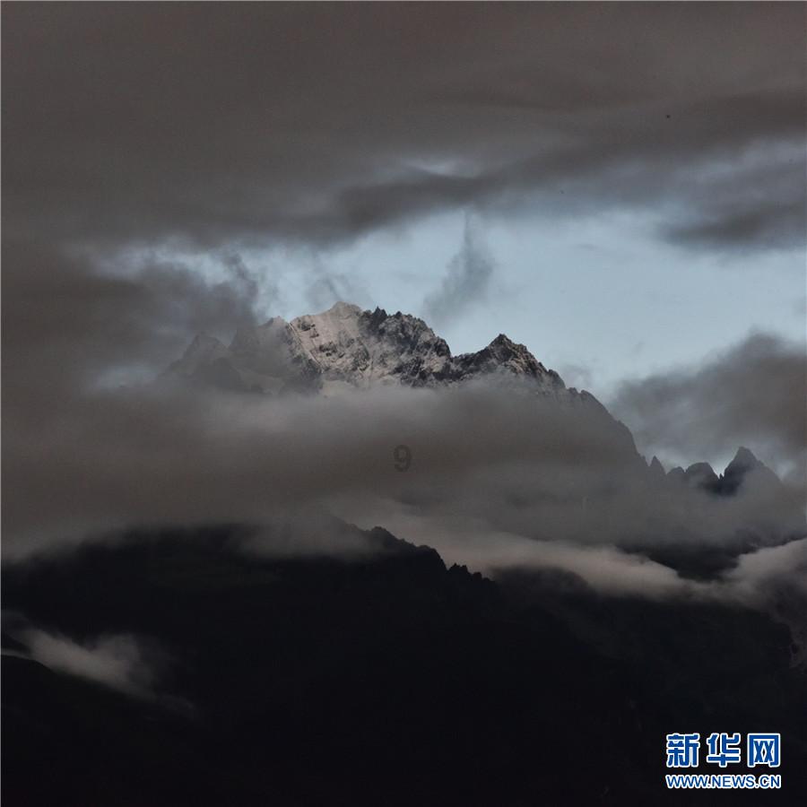 逗小猴开心系列177