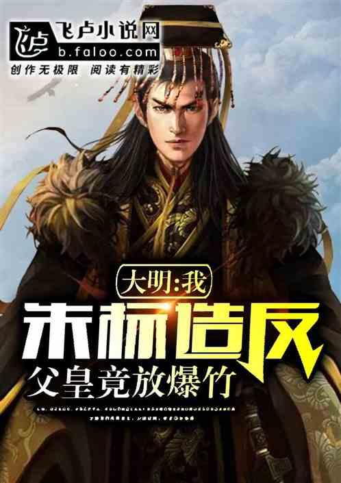 印度民航总局官员:在阿富汗山区坠毁的客机并非印度客机