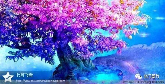 柒爸的下周星象提醒（1.29-2.4）